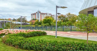Профессиональное озеленение улиц в Новоалтайске в октябре