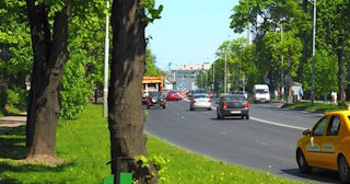Посадка деревьев и кустарников в Новоалтайске — стоимость от 1227 руб.